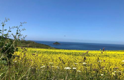 Little Valley View - Foto 11