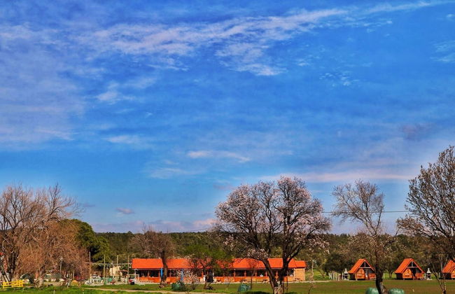 Ayvalık Sural Çiftliği Since 1899 - Foto 25