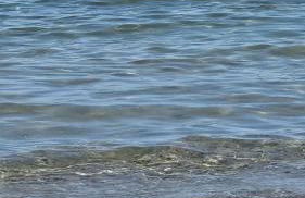 Tropicana Holiday Home - Foto 45