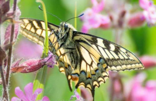 Mill House Bungalow - Foto 30