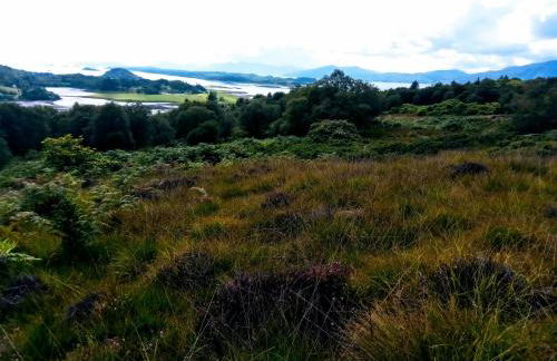 Granite Croft - Foto 27