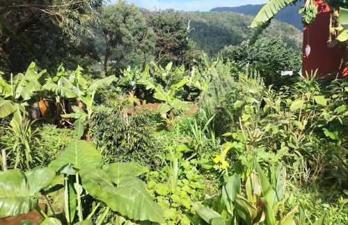 Sea Mountain House - Foto 65