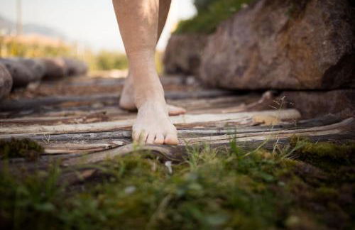 Kräutererbe Bacherhof - Photo 36