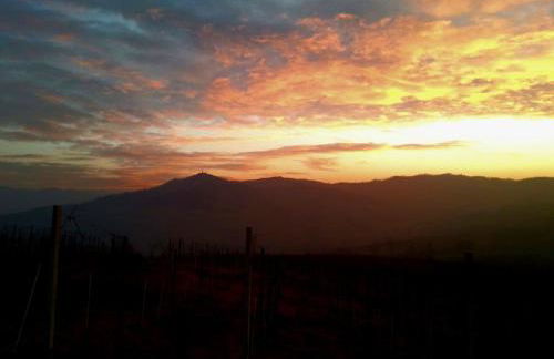 Villa Luisa - Foto 15