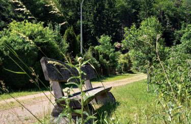 Ferienwohnung Tremmbach - Foto 12