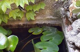 Il frantoio - Photo 17