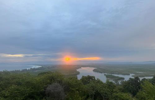 Casa do Roberto Burle Marx - Foto 12