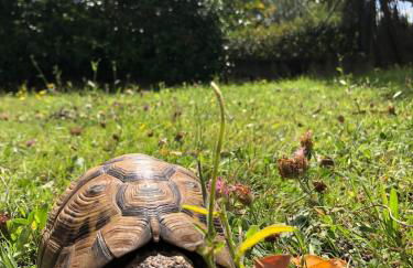 Villa Louise à 500 m des plages - Foto 24