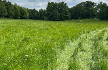 Idyllic cottage escape in Oxfordshire countryside - Foto 32