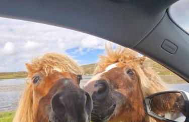 Loch an Eilean Pod Isle of South Uist - Foto 42