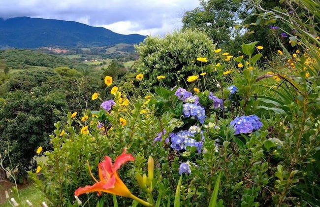 Chácara do Alemão - Recanto Jd.Silvestre - Foto 49