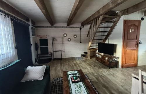 Domki Skitnica - Foto 21