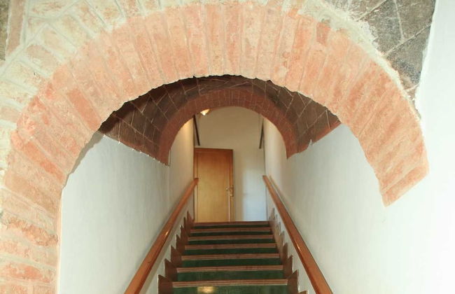 Il Poderaccio - Foto 50