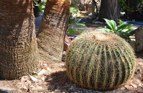 Villa Virginia - Foto 7