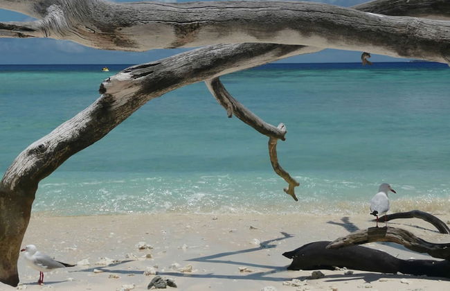 Tranquility By The Course Port Douglas - Photo 17