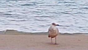 La Casa del Sole - Photo 3