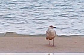 La Casa del Sole - Photo 3