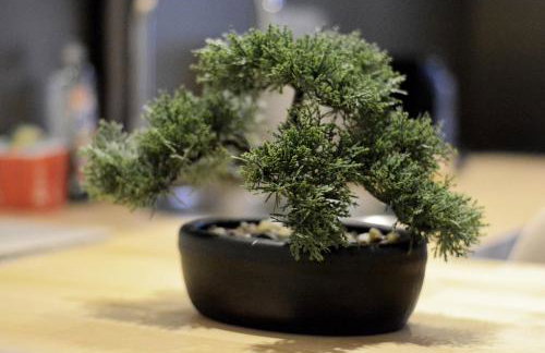 Self Checkin Automatique - 9 min Disney - LE MICKEY - COSYRENTING - Foto 9