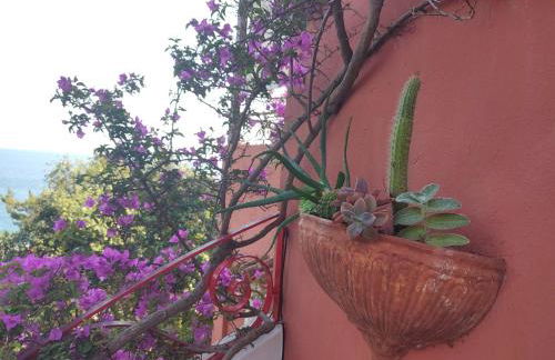 Villa il Faro - Circeo holiday house - Foto 44