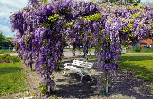 Appartements Am Reiterhof Strandträumer - Foto 23