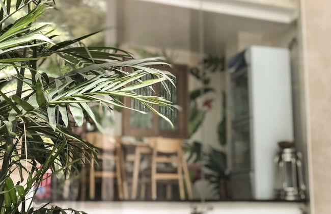 Tropical House - Foto 1