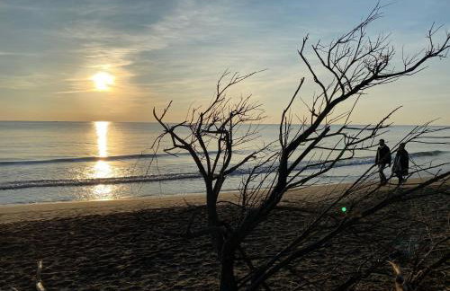 Cap Parenthèse By L'Avenue - T2 Familial - Proche plage, Seaquarium - 2e étage - Parking privé - Foto 29