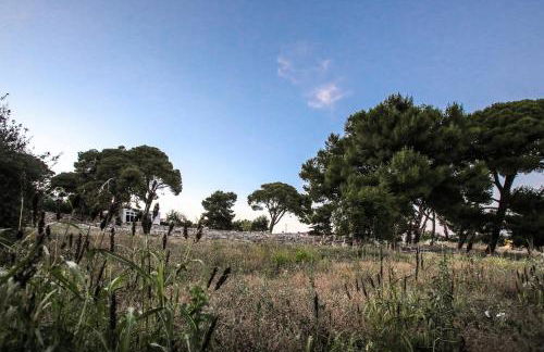 Cretan Traditional Home - Photo 50