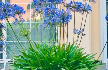 Casa Solina - Foto 30