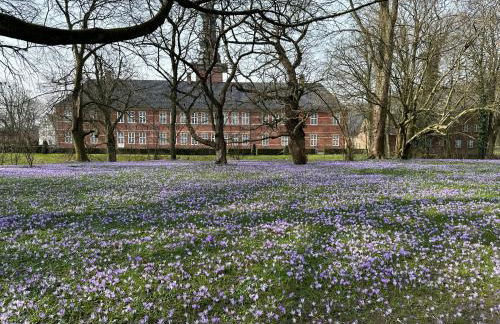Alte Stellmacherei Langenhorn - Foto 52