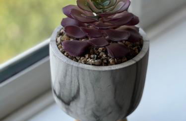 The Aldridge 2 Bedroom Apartment with FREE Parking - Foto 4