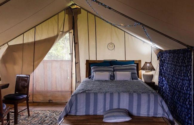 La Finca Azul - Foto 7