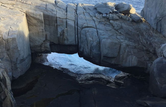 Tasman Holiday Parks - Albany - Foto 71