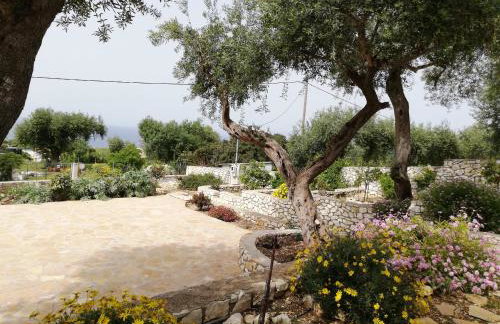 Villa Danae - Foto 11