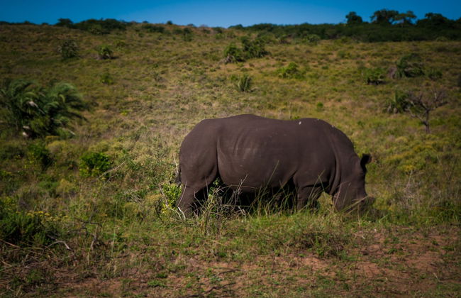 Pelican s Nest Holiday Home St Lucia - Foto 36