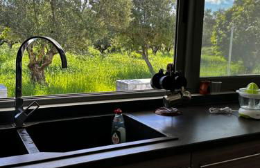 Elaiocampus luxury house - Foto 29