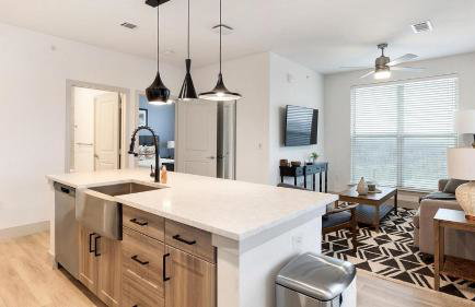 Landing Apartments - Rye Bunker Hill - Foto 4