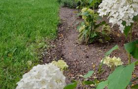 Hory Opawskie - Foto 28