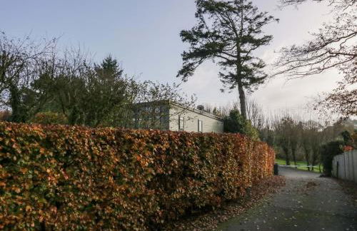 Elderflower Lodge - Foto 39