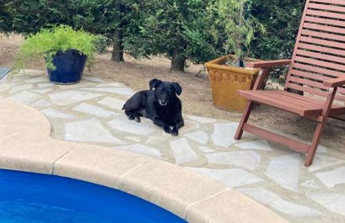 La Soleillade Laudun - Foto 37