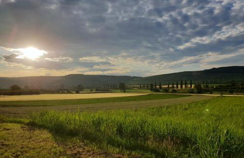 locations Spa chez corinne et gilles - Foto 30