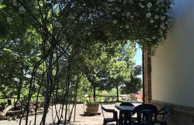 Cascina Il Bricco - Photo 39