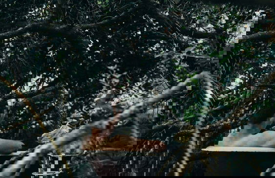 Kennedy's Beach Villa - Photo 64