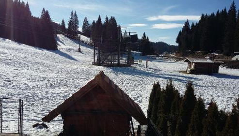 Le Repaire du Loup blanc - Foto 3