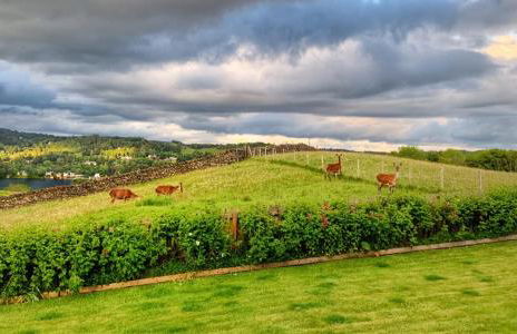 Hawkrigg Farm - Foto 30