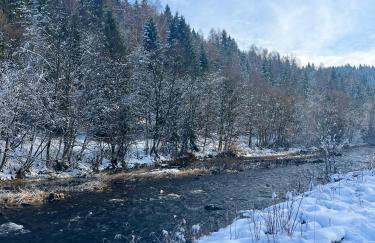 Domek w górach, noclegi w górach , Przystanek Stodoła , nocleg Beskidy , Velo Soła, balia ogrodowa, Rajcza, Rycerka - Foto 4