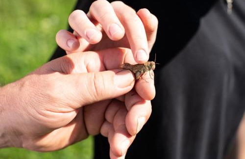 Agriturismo da Natalino - Foto 74