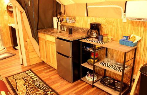 African-Themed Safari Tent for Glamping in West Virginia - Foto 4