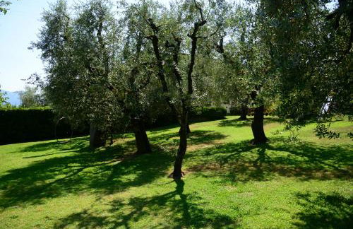 Agriturismo Corte Stefani - Foto 26