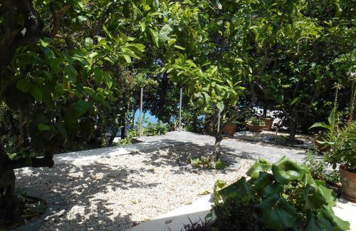 Apartment Marija - Foto 26