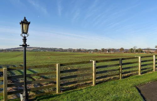 Petronella - Foto 25